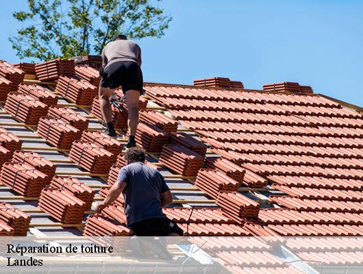 Réparation de toiture Landes 