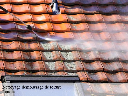 Nettoyage demoussage de toiture Landes