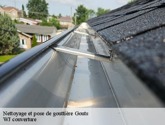 Nettoyage et pose de gouttière gouts-40400 Couvreur Riva