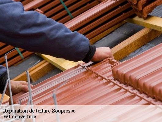 Réparation de toiture souprosse-40250 Couvreur Riva