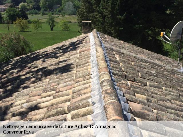Nettoyage demoussage de toiture  arthez-d-armagnac-40190 Couvreur Riva