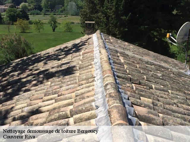 Nettoyage demoussage de toiture  bergouey-40250 Couvreur Riva