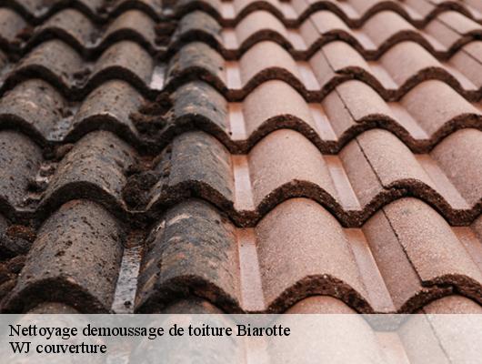 Nettoyage demoussage de toiture biarotte-40390 Couvreur Riva
