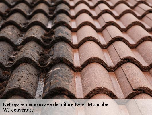 Nettoyage demoussage de toiture eyres-moncube-40500 WJ couverture