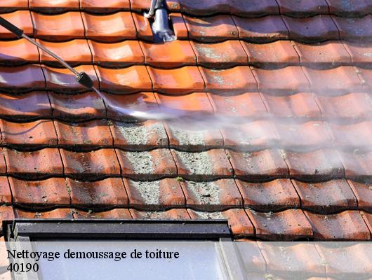 Nettoyage demoussage de toiture  40190