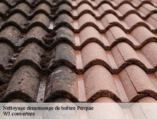 Nettoyage demoussage de toiture perquie-40190 WJ couverture