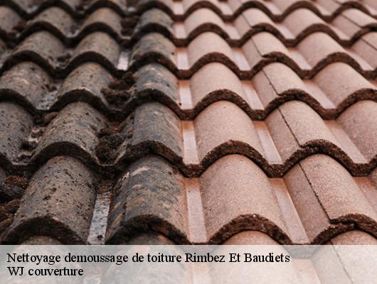 Nettoyage demoussage de toiture rimbez-et-baudiets-40310 WJ couverture