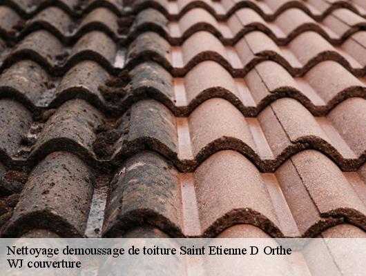 Nettoyage demoussage de toiture  saint-etienne-d-orthe-40300 WJ couverture 
