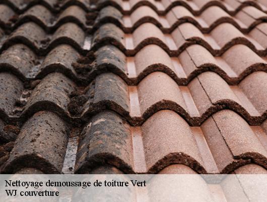 Nettoyage demoussage de toiture vert-40420