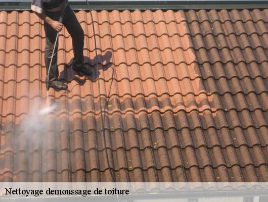 Nettoyage demoussage de toiture