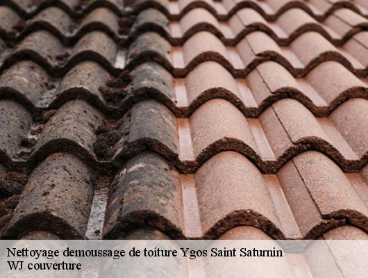 Nettoyage demoussage de toiture ygos-saint-saturnin-40110 WJ couverture