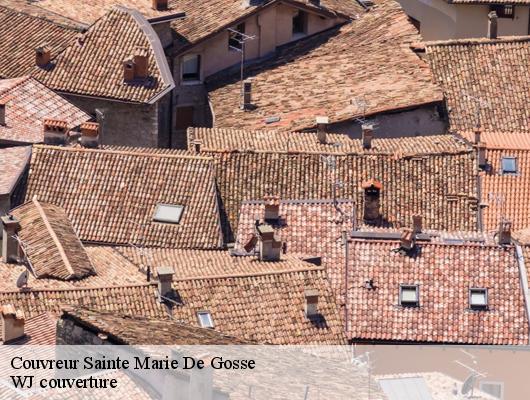Couvreur sainte-marie-de-gosse-40390 Couvreur Riva