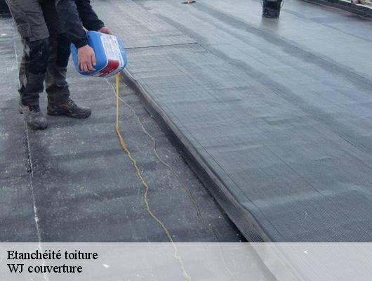 Etanchéité toiture WJ couverture