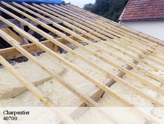 Charpentier 40700