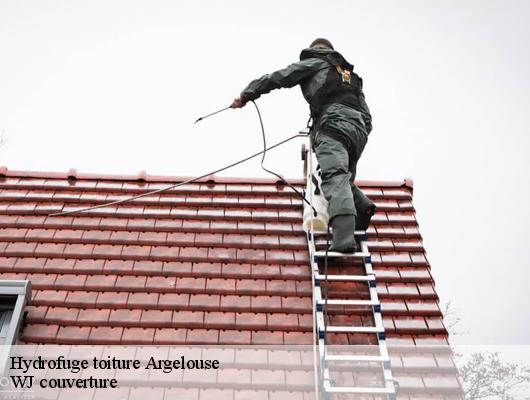 Hydrofuge toiture argelouse-40430 WJ couverture