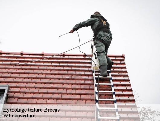 Hydrofuge toiture  brocas-40420 WJ couverture 