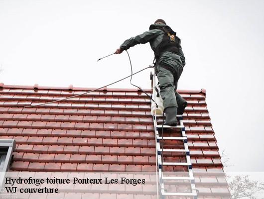 Hydrofuge toiture  pontenx-les-forges-40200 WJ couverture 