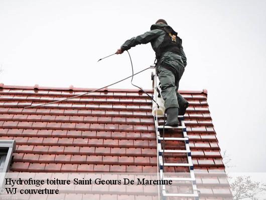 Hydrofuge toiture saint-geours-de-maremne-40230 WJ couverture