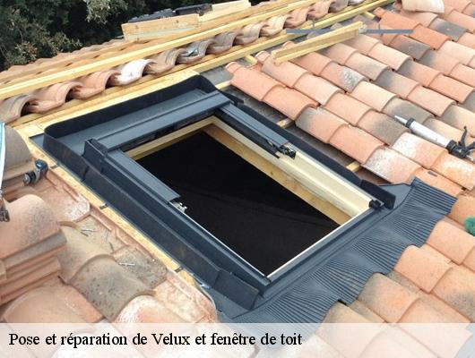 Pose et réparation de Velux et fenêtre de toit