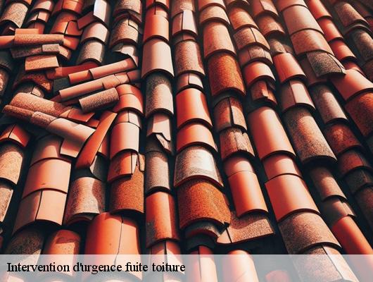 Intervention d'urgence fuite toiture 