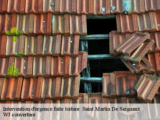 Intervention d'urgence fuite toiture saint-martin-de-seignanx-40390 WJ couverture