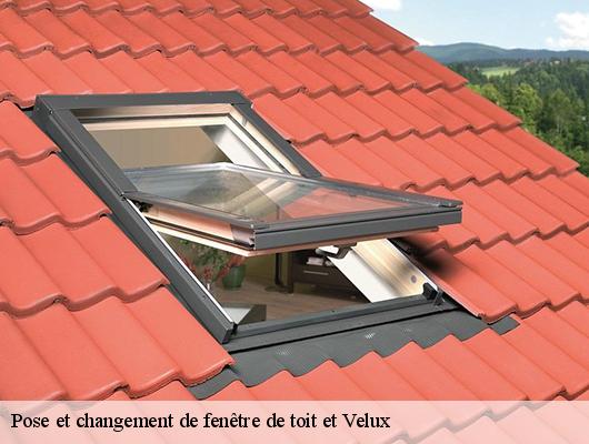Pose et changement de fenêtre de toit et Velux
