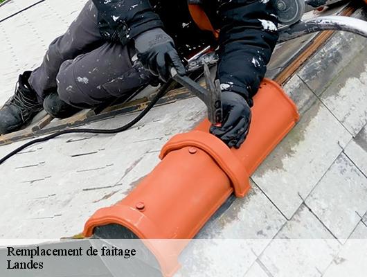 Remplacement de faitage Landes