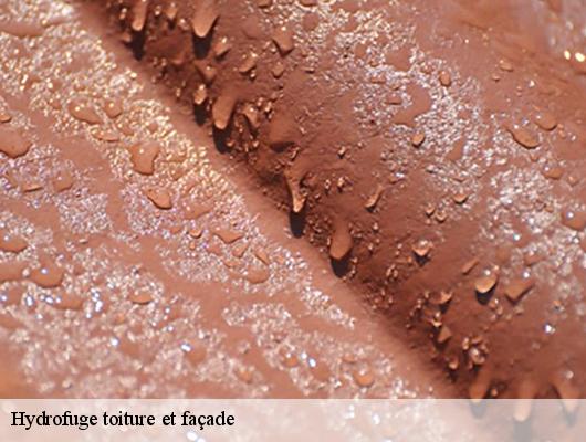 Hydrofuge toiture et façade