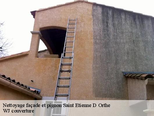Nettoyage façade et pignon  saint-etienne-d-orthe-40300 WJ couverture 