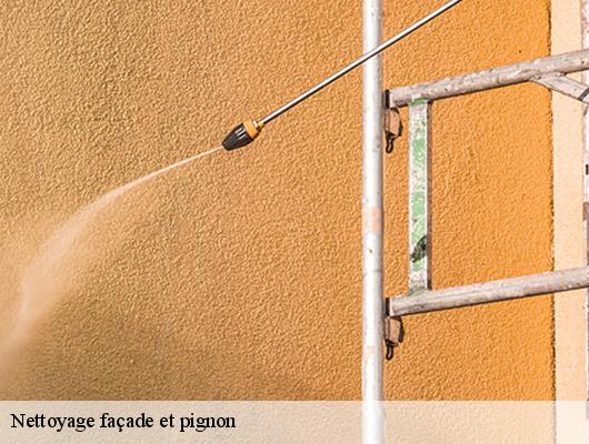 Nettoyage façade et pignon