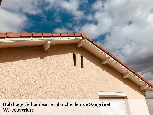 Habillage de bandeau et planche de rive  sanguinet-40460 WJ couverture 