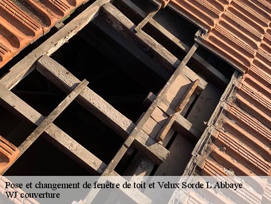 Pose et changement de fenêtre de toit et Velux sorde-l-abbaye-40300 WJ couverture