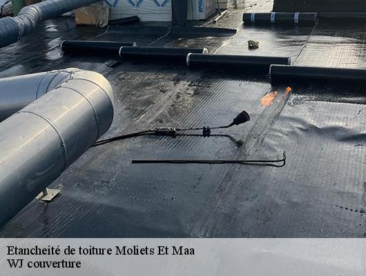 Etancheité de toiture  moliets-et-maa-40660 WJ couverture 