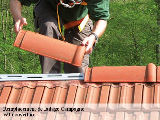 Remplacement de faitage campagne-40090 WJ couverture