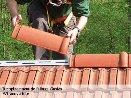 Remplacement de faitage  gastes-40160 WJ couverture 