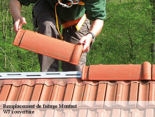 Remplacement de faitage montaut-40500 WJ couverture