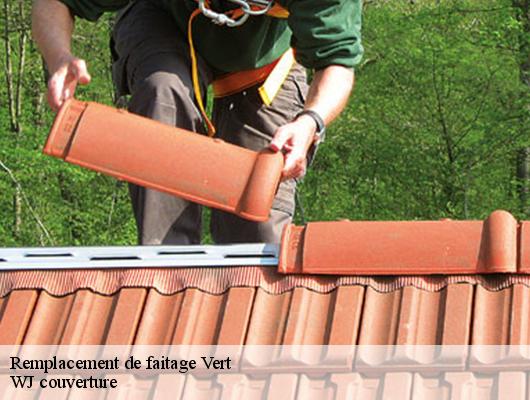 Remplacement de faitage vert-40420 WJ couverture